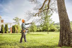 Best Hedge Trimming  in Tuolumne City, CA